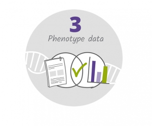 Phenotyping interface