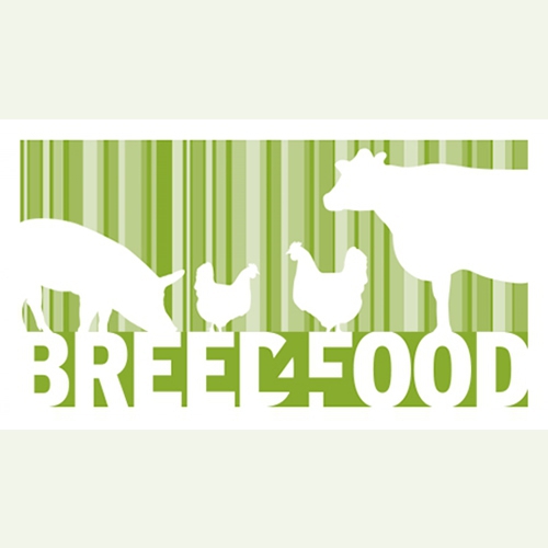 Breed4Food seminar: &quot;Accelerating genomic prediction in Breed4Food - On track!?”