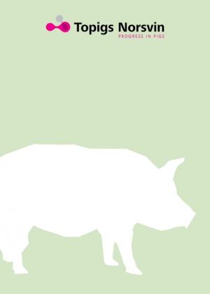 Topigs Norsvin