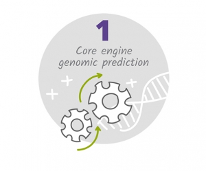 Core engine for genomic prediction