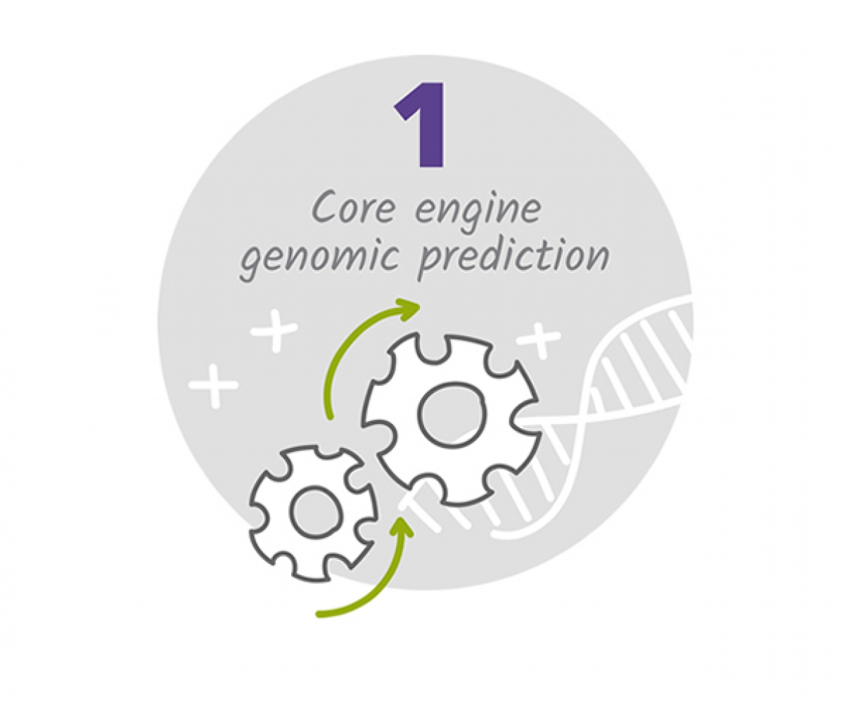 Core engine for genomic prediction